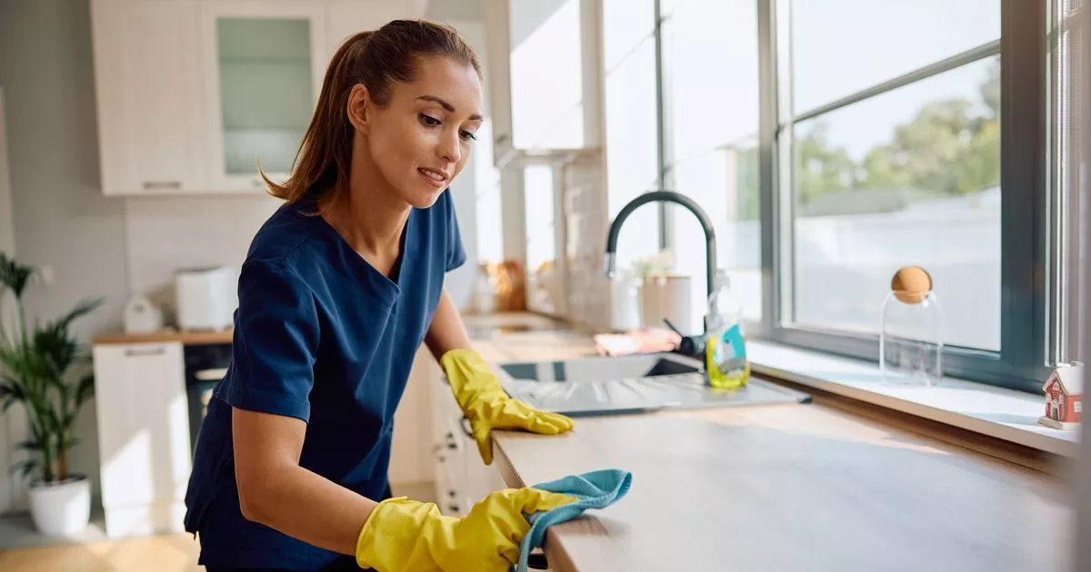 Residential Cleaning Services in St. Albert