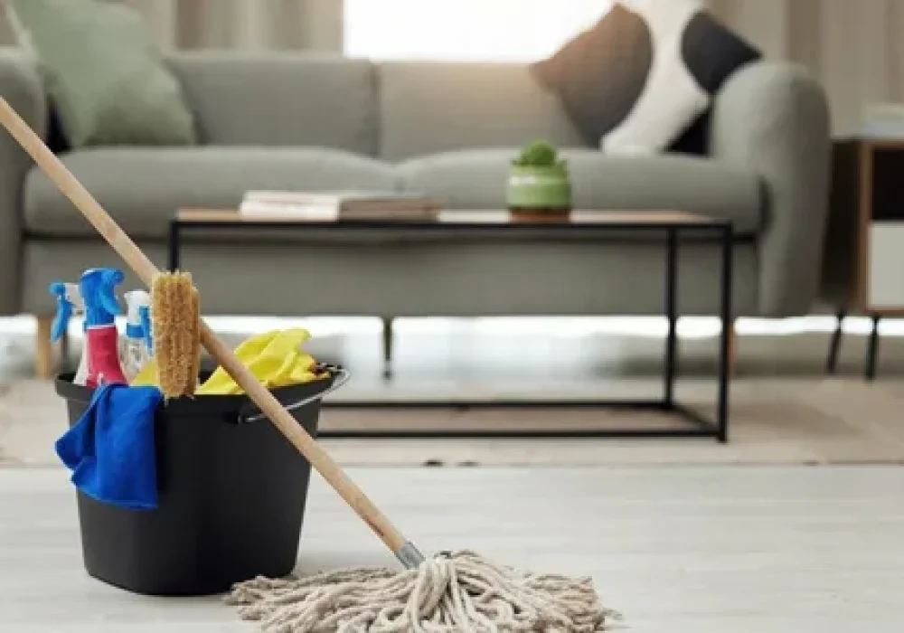 i - 2026-01-19T020811.631