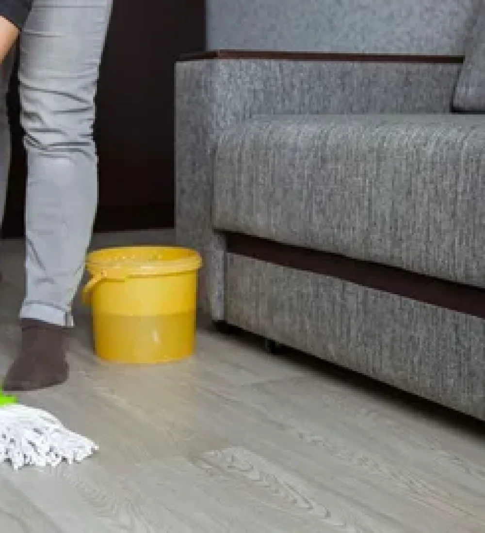 i - 2026-01-19T024304.495