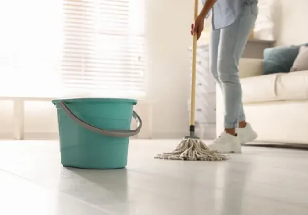 i - 2026-01-19T024551.343